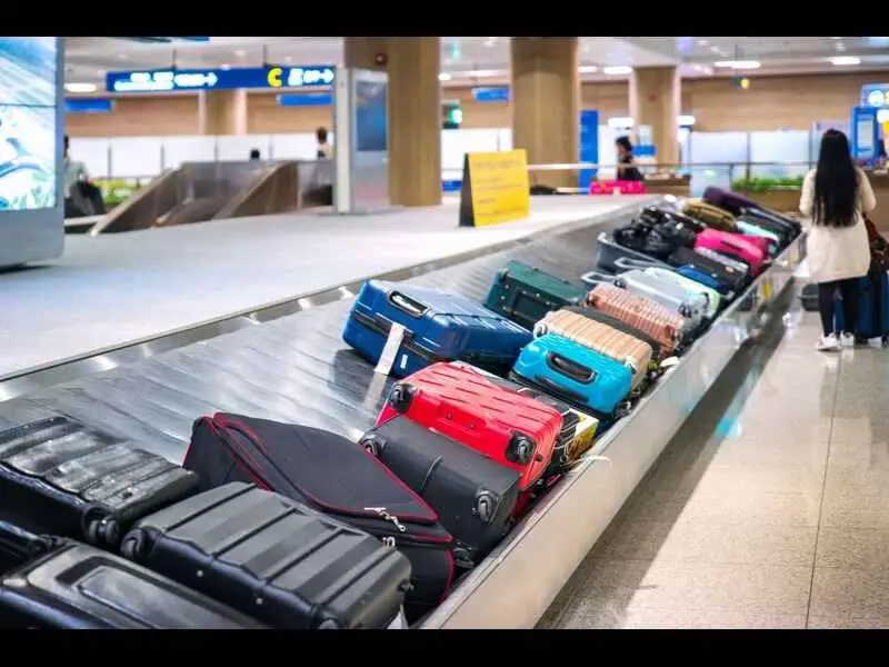 30-Minute Baggage Delivery Mandate for Airlines BCAS